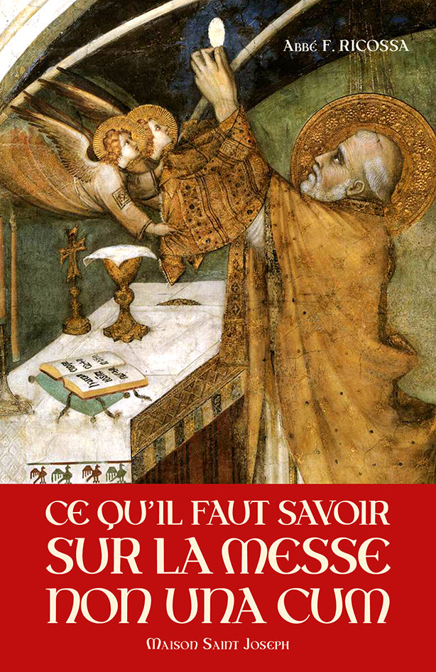 Ce qu'il faut savoir sur la Messe « NON UNA CUM »